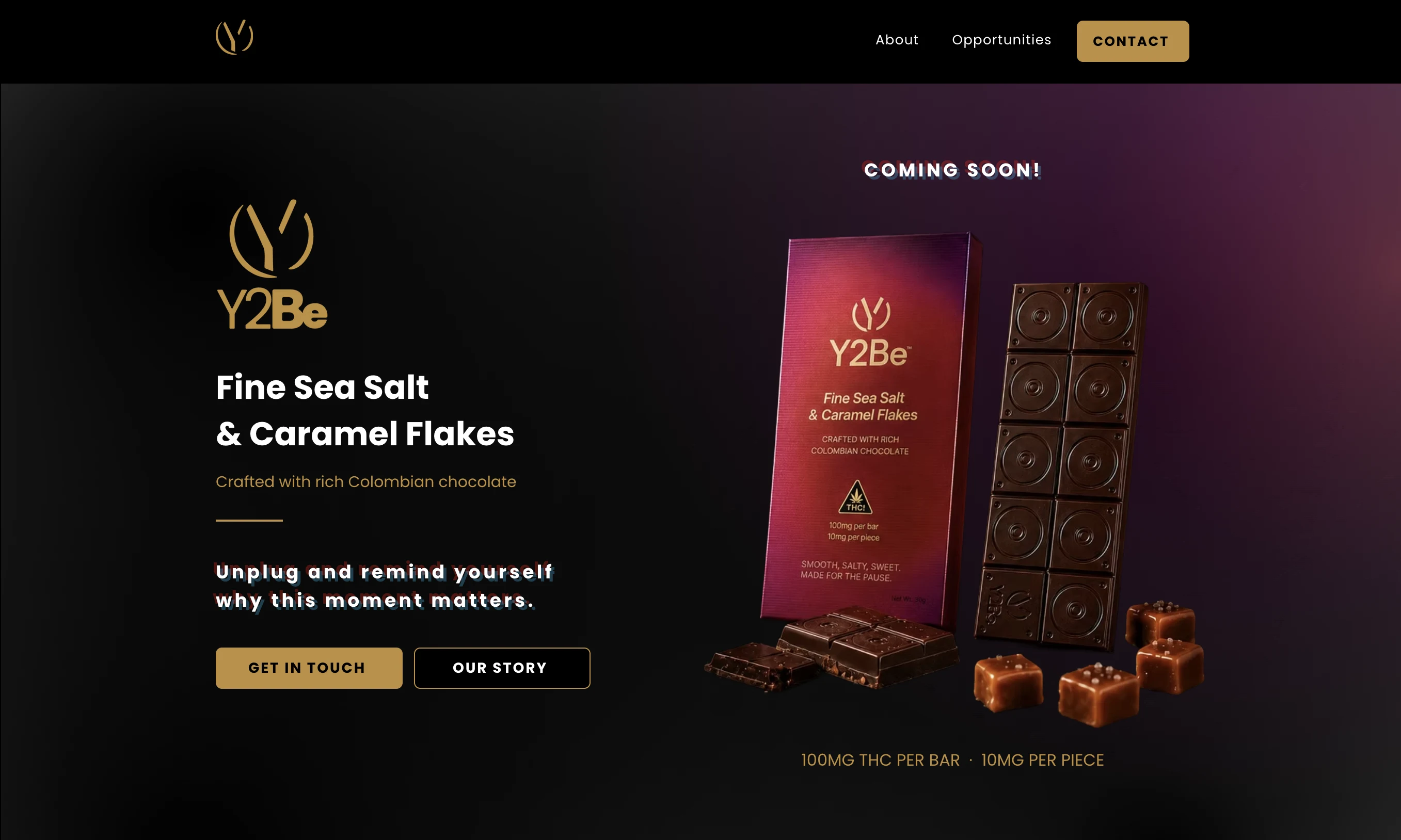 Y2be homepage preview